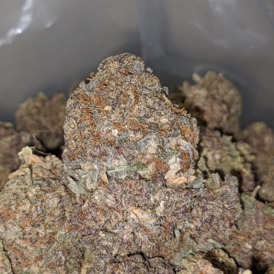 purple haze aa 2 I Purple Haze AA+