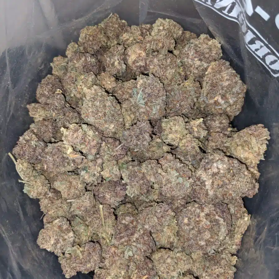 purple haze aa 3 I Purple Haze AA+