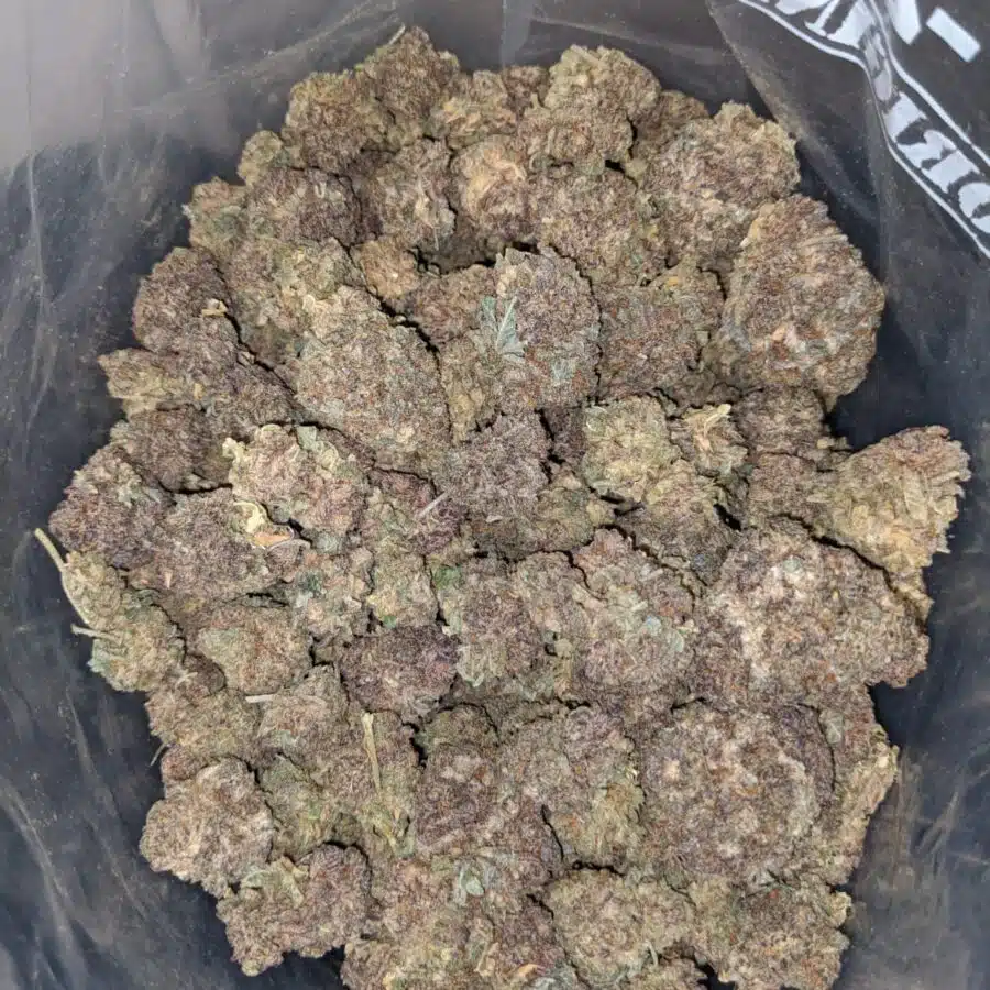 purple haze aa 4 I Purple Haze AA+