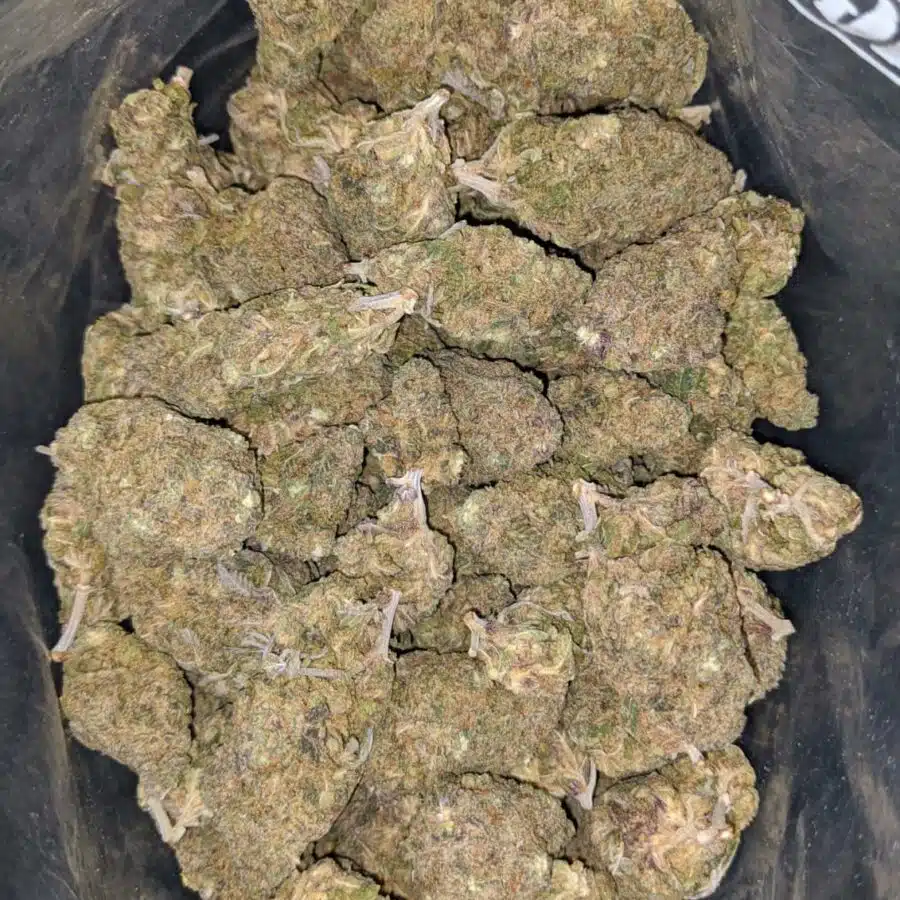 purple nuken deal of the day 1 I Purple Nuken - *Deal of the Day*