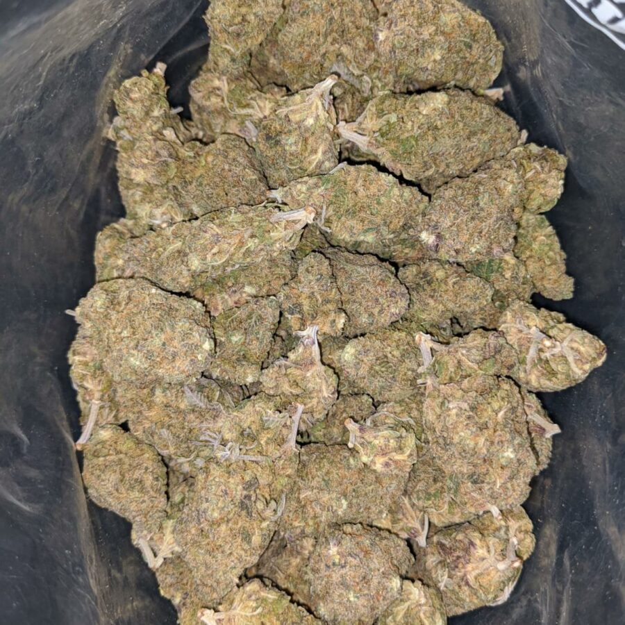 purple nuken deal of the day 2 I Purple Nuken - *Deal of the Day*