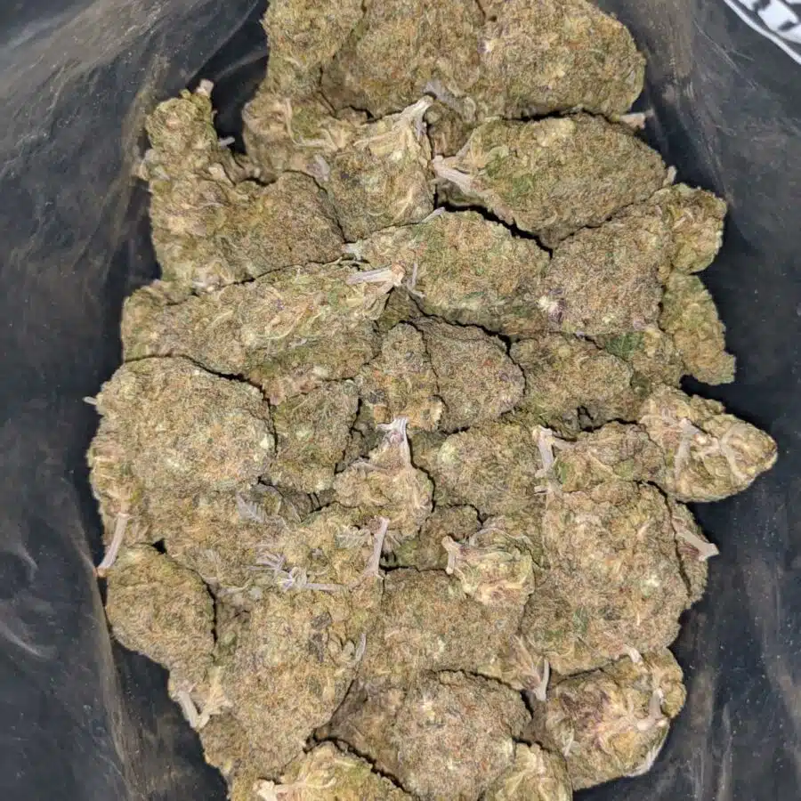 purple nuken deal of the day 2 I Purple Nuken - *Deal of the Day*