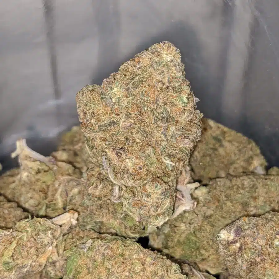purple nuken deal of the day 3 I Purple Nuken - *Deal of the Day*
