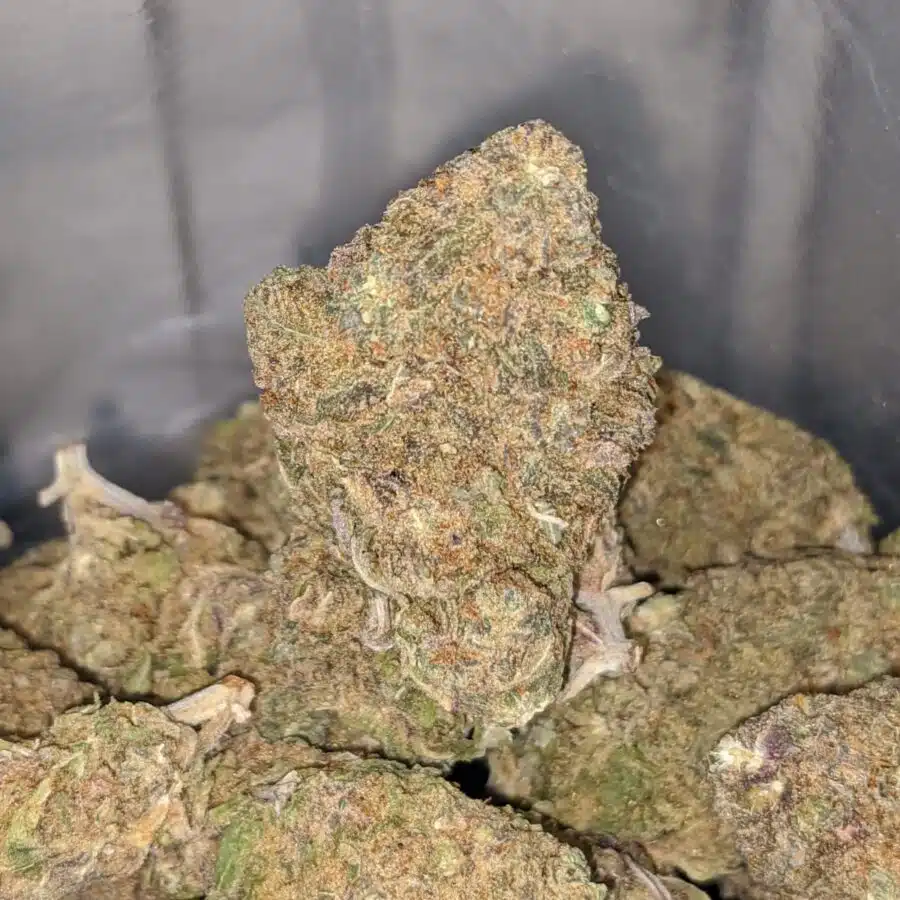 purple nuken deal of the day 4 I Purple Nuken - *Deal of the Day*