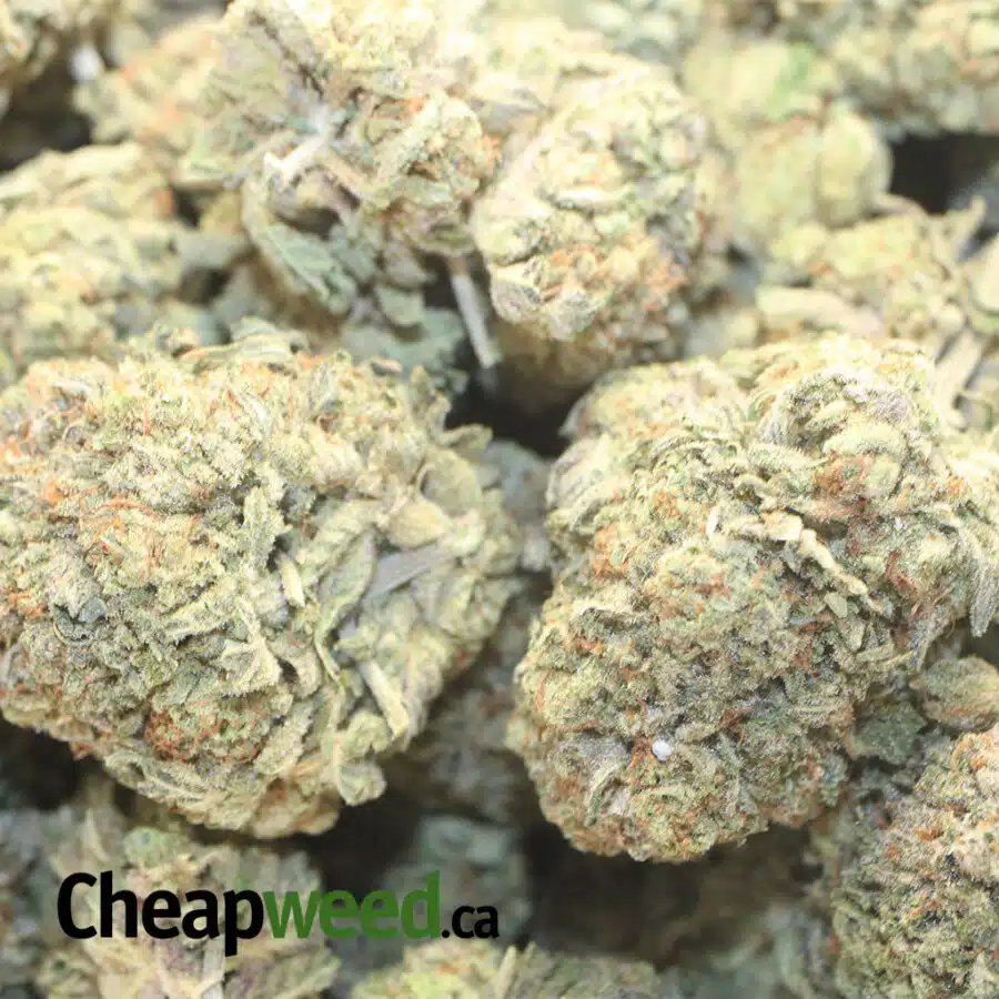racefuel og 1 I Racefuel OG