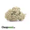 Racefuel OG
