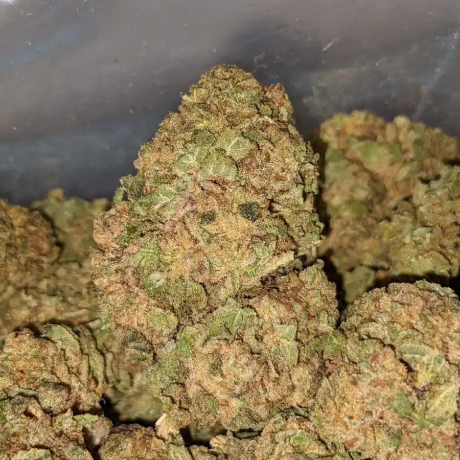 sweet kush aa 3 I Sweet Kush AA+