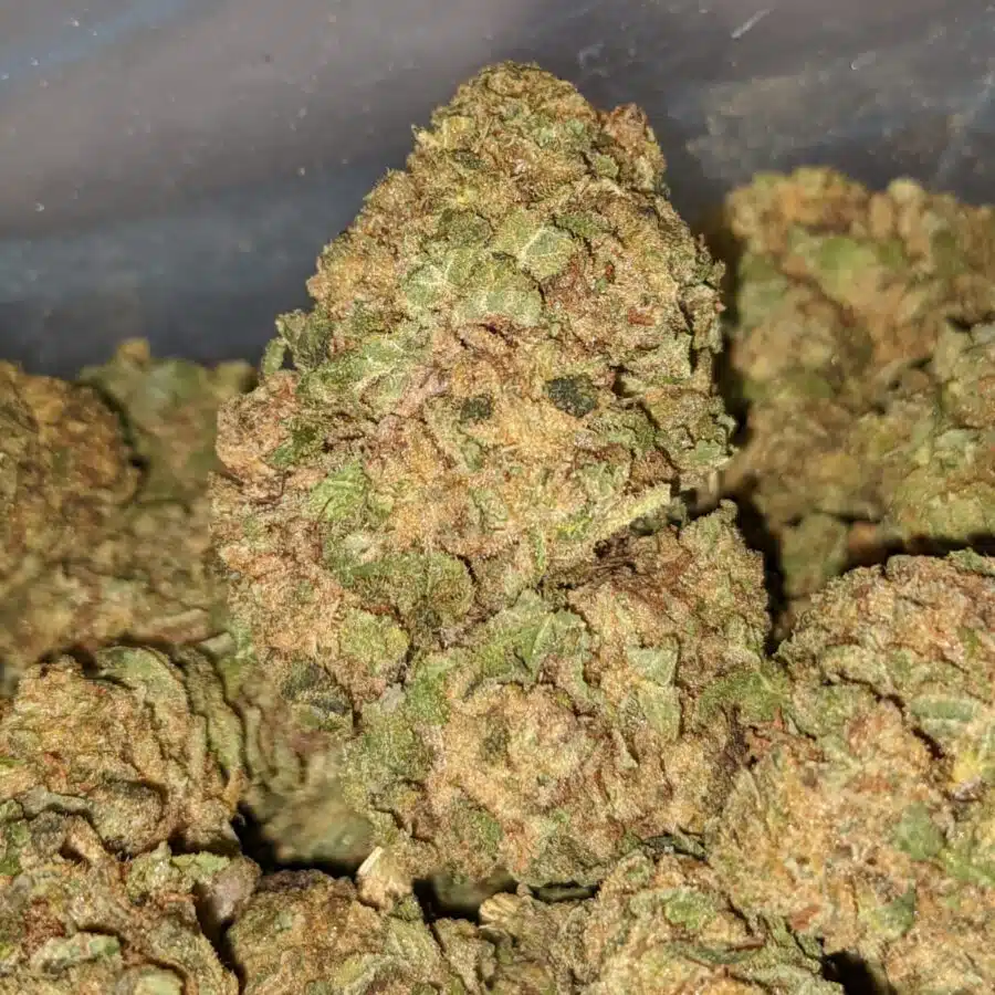 sweet kush aa 4 I Sweet Kush AA+