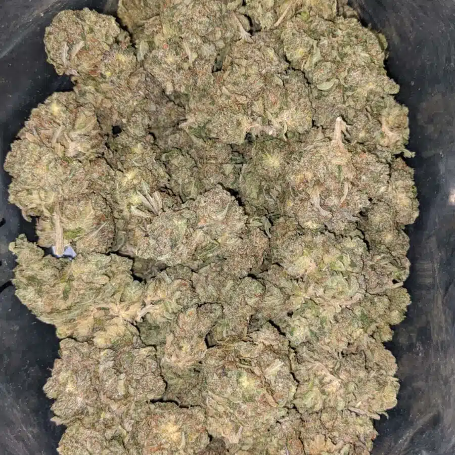 tonys death bubba 1 I Tony's Death Bubba #2
