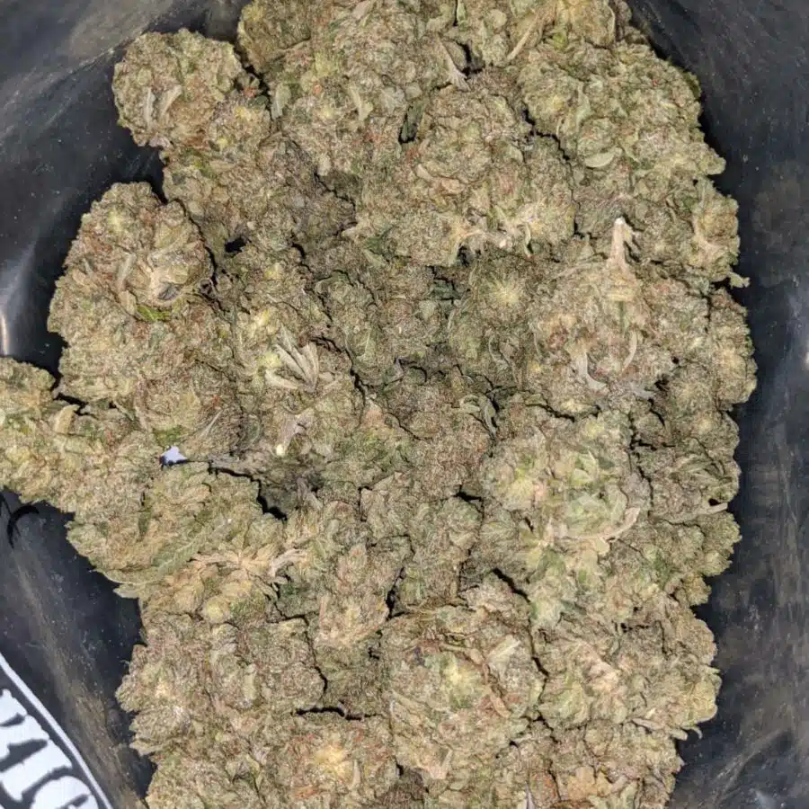 tonys death bubba 2 I Tony's Death Bubba #2