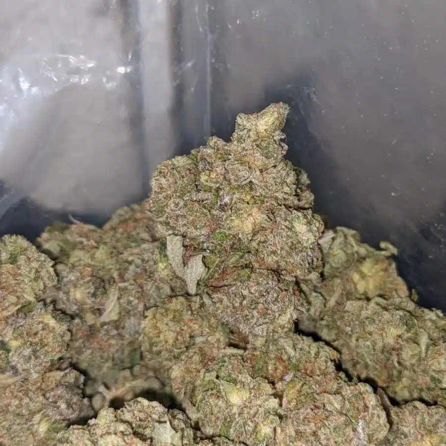 tonys death bubba 4 I Tony's Death Bubba #2