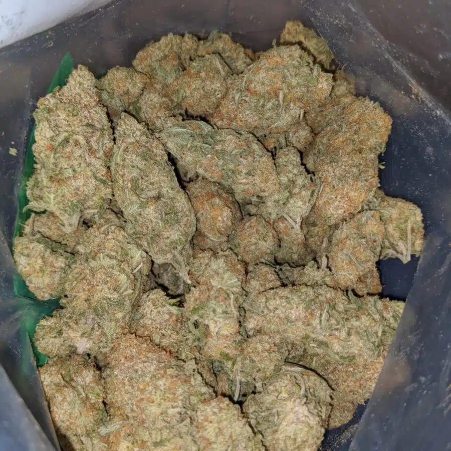 white cookies 3 I White Cookies