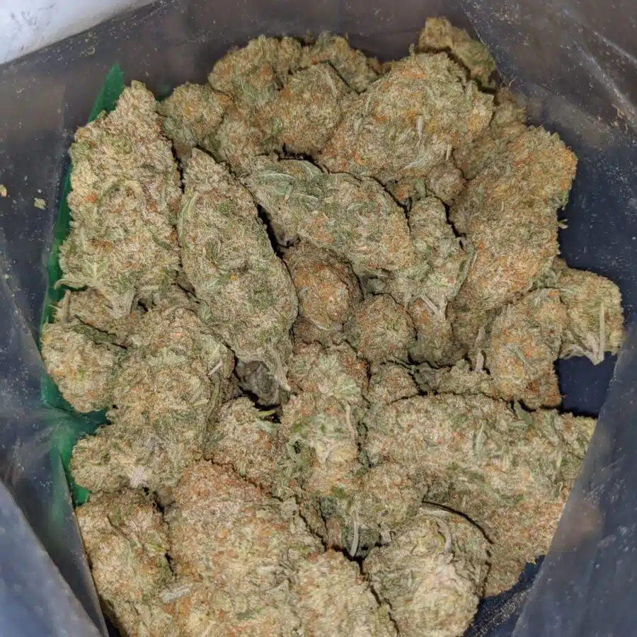 white cookies 4 I White Cookies