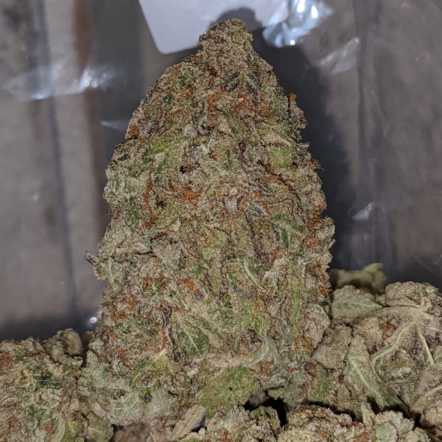 white nurse 2 I White Nurse