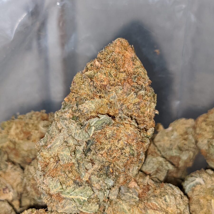 wild berry aa 1 I Wild Berry AA+