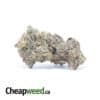 9LB Hammer - Deal of the Day
