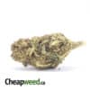 Black Durban - *Deal Of The Day*