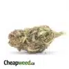 Black Durban - *Deal Of The Day*