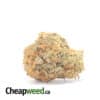 Bubba - *Deal of the Day*