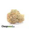 Bubba - *Deal of the Day*