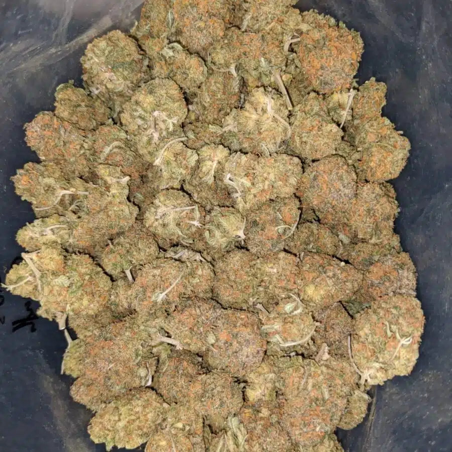 CACTUS BREATH 1 I $ 68 Oz - Sophies Breath