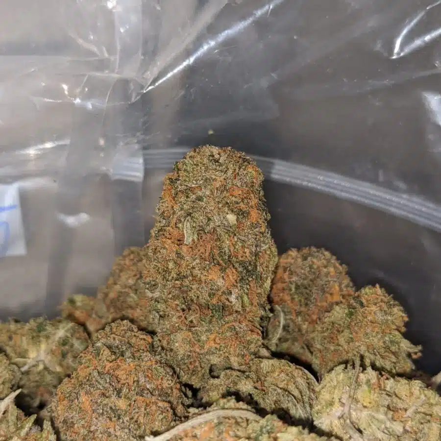 CACTUS BREATH 4 I $ 68 Oz - Sophies Breath