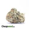 Cali Tuna - *Deal Of The Day*