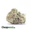 Cali Tuna - *Deal Of The Day*