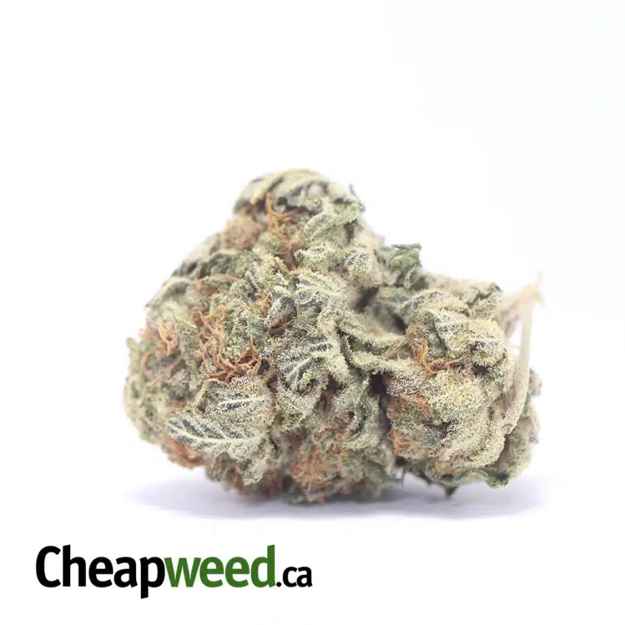 Cali Tuna - *Deal Of The Day*