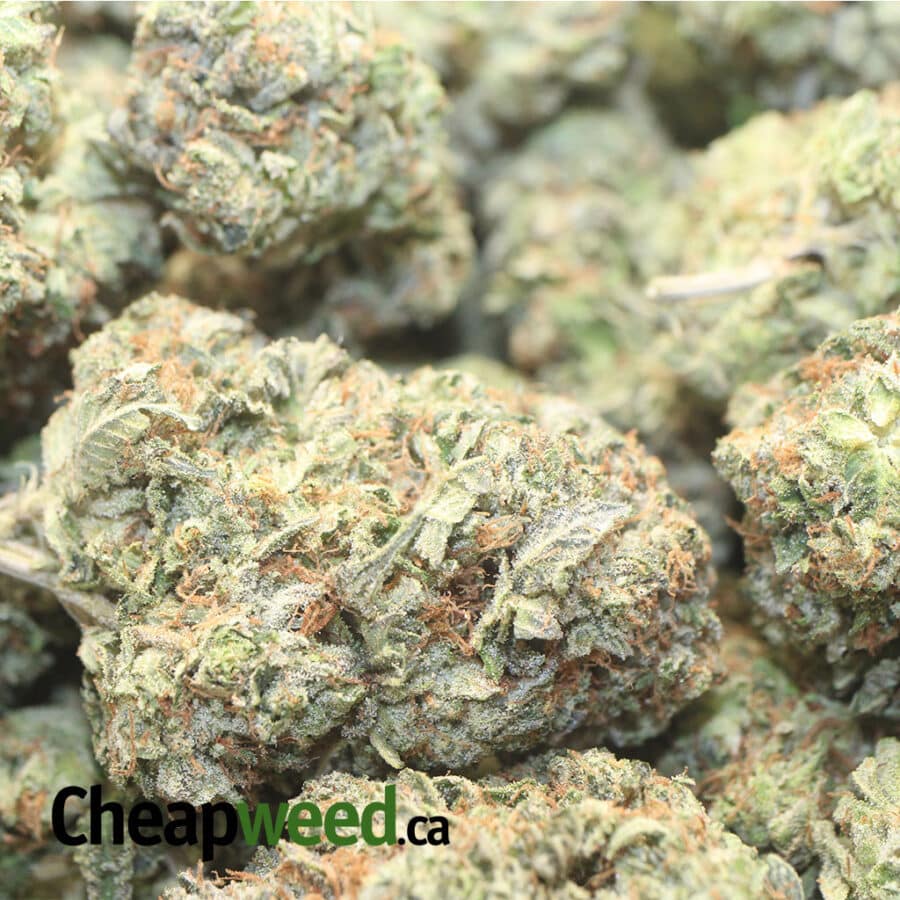 DEATH STAR 1 I Cheap Death Bubba