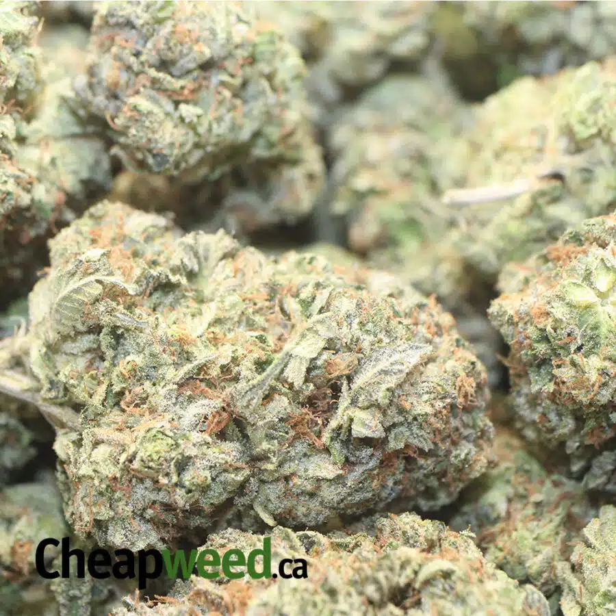 DEATH STAR 1 I Cheap Death Bubba