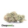 Cheap Death Bubba