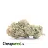 Cheap Death Bubba