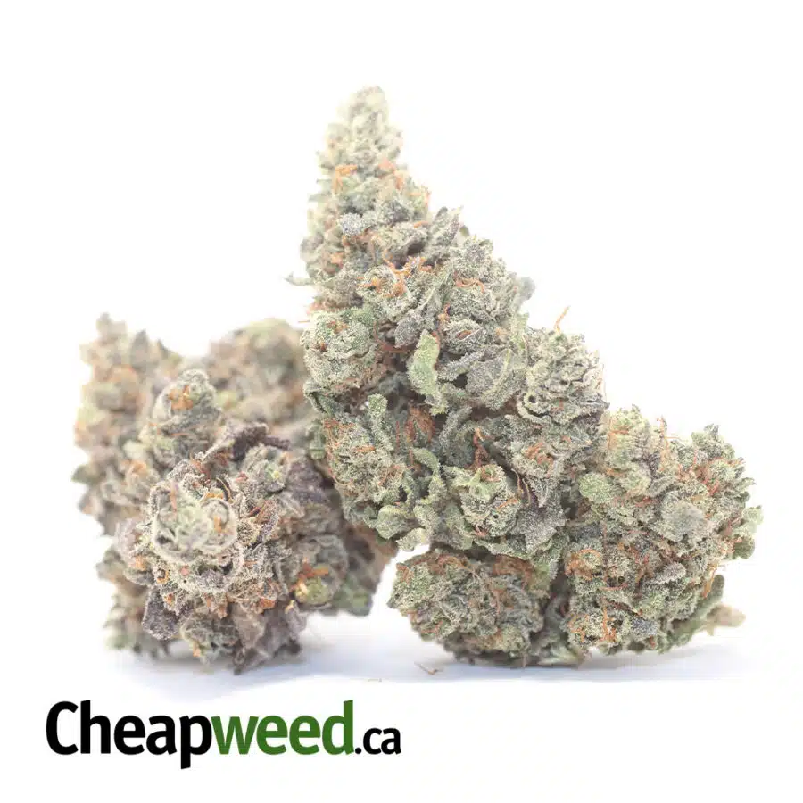 Alternative view of Emma's Purple Dank
