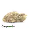 Green Goblin Bulk Special