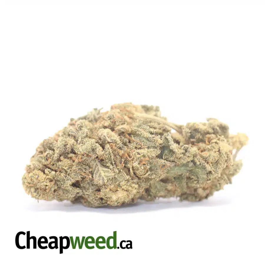 Green Goblin Bulk Special