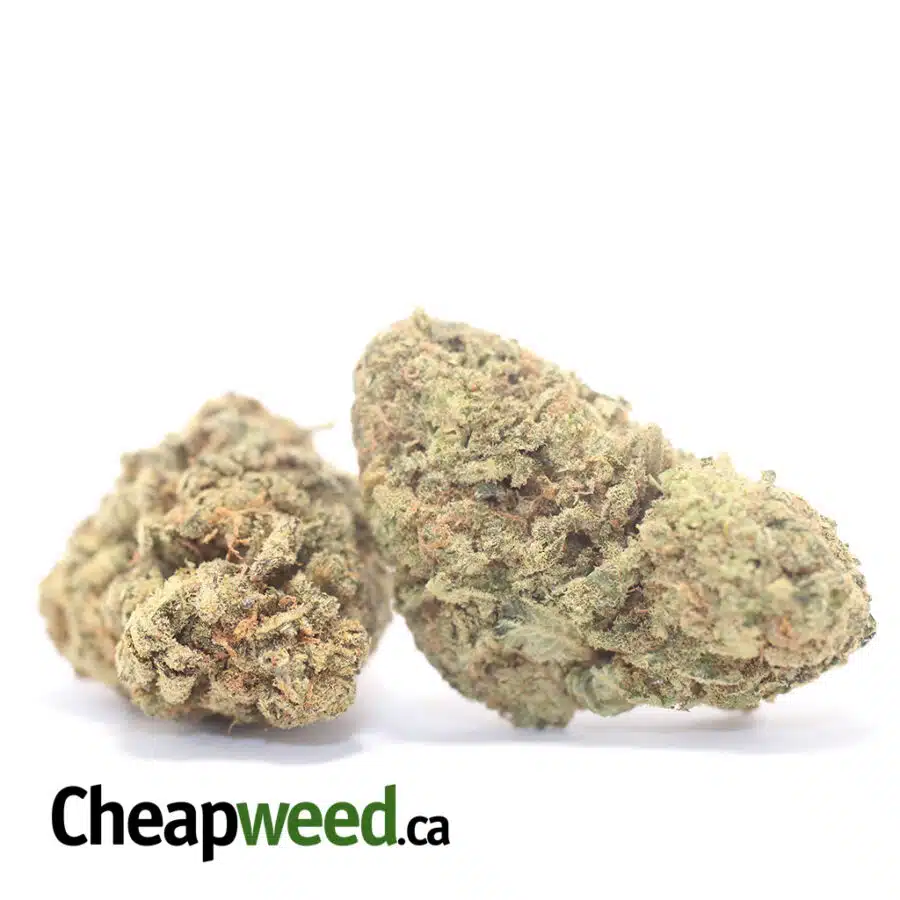 Alternative view of Green Goblin Bulk Special
