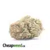 Killer Kush