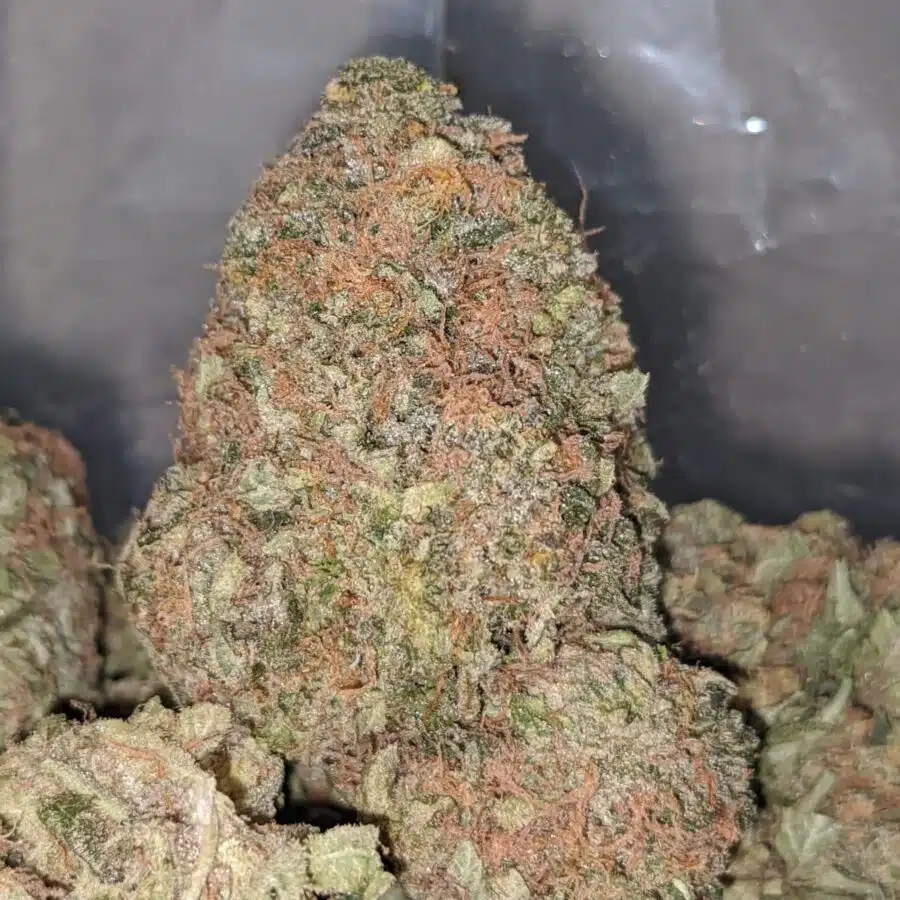 PEACH SORBET 1 I $71 OZ - Peach Sobert