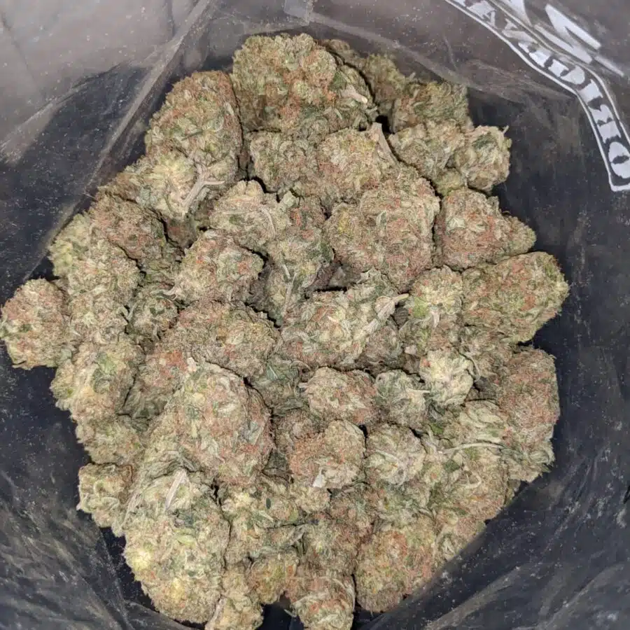 PEACH SORBET 2 I $71 OZ - Peach Sobert