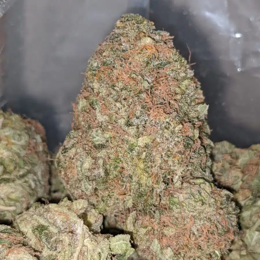 PEACH SORBET 3 I $71 OZ - Peach Sobert