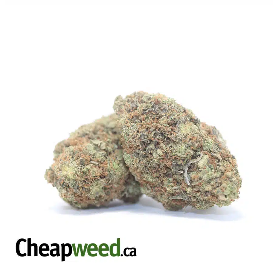 Alternative view of Pink Funk - *Deal of the Day*