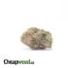 Pink Rhino Bulk Special