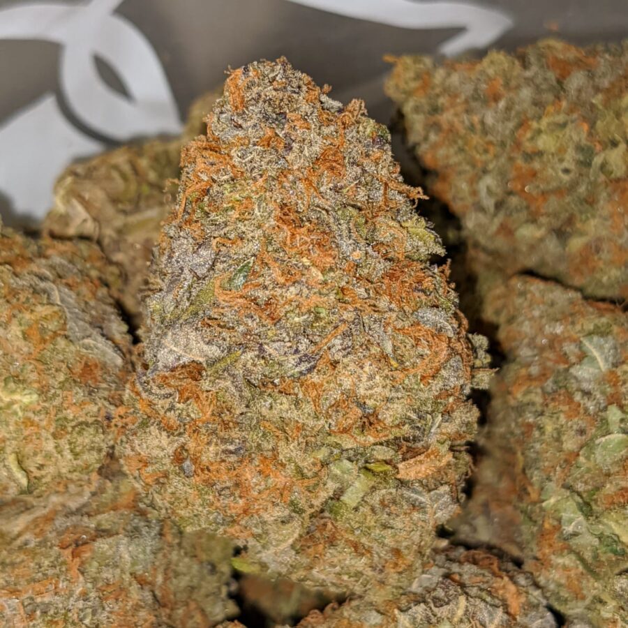 PURPLE ANIMAL CRACKERS 1 I Lava Cake #11