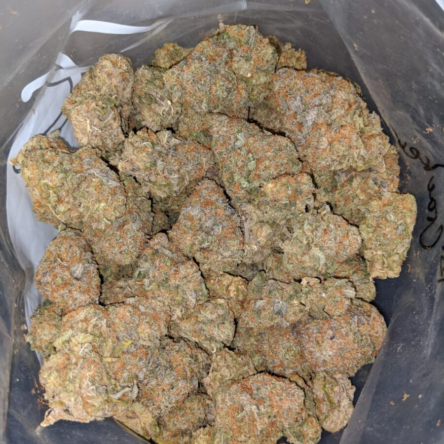 PURPLE ANIMAL CRACKERS 3 I Lava Cake #11