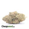 Select Purple Nuken