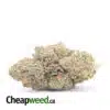 Select Purple Nuken