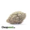Purple Sherbert - *Deal Of The Day*