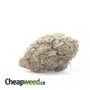 Purple Sherbert - *Deal Of The Day*