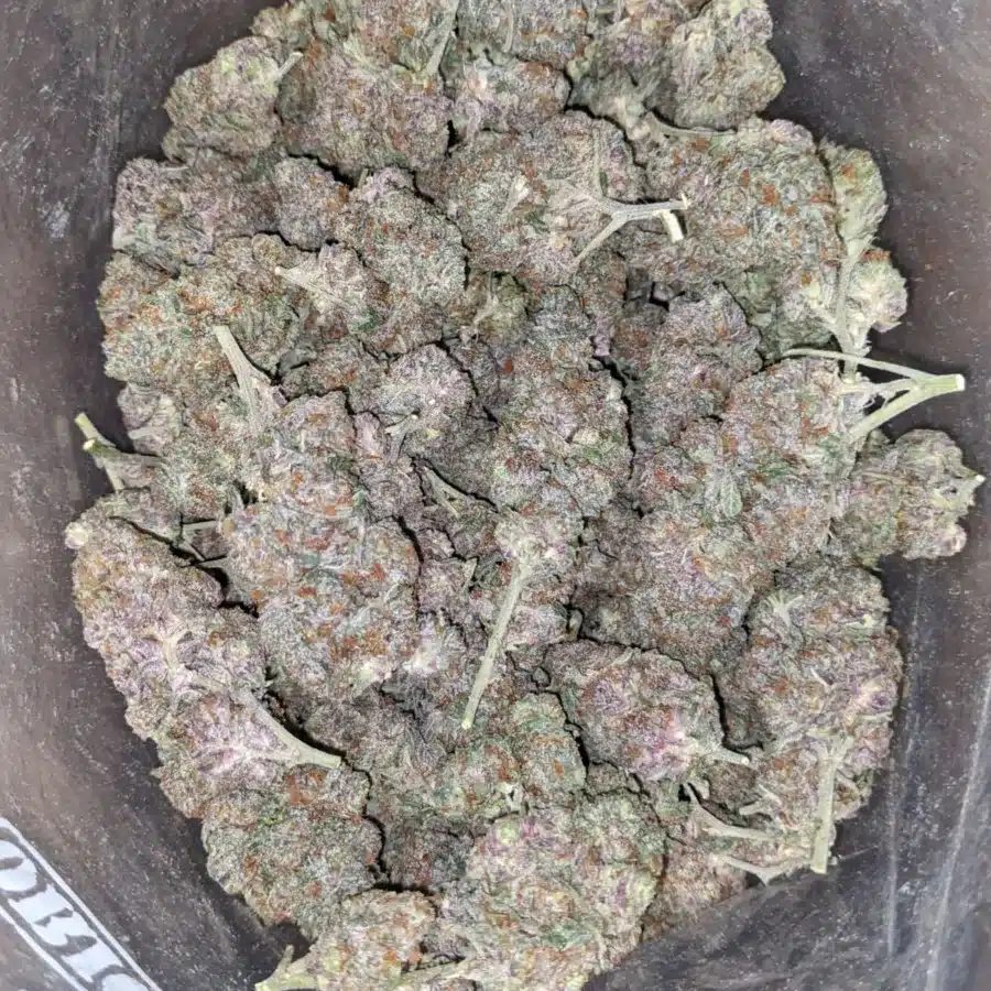 Purple candy 3 I Purple Candy